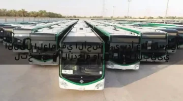 النقل العام في الأحساء يبدأ غدًا رسميًا لتخفيف الازدحام والتلوث البيئي