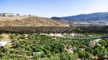 مزارع الباحة الريفية تجذب الأنظار: 23 مشروعاً تراثياً ينعش الاستثمار ويوفر وظائف للشباب