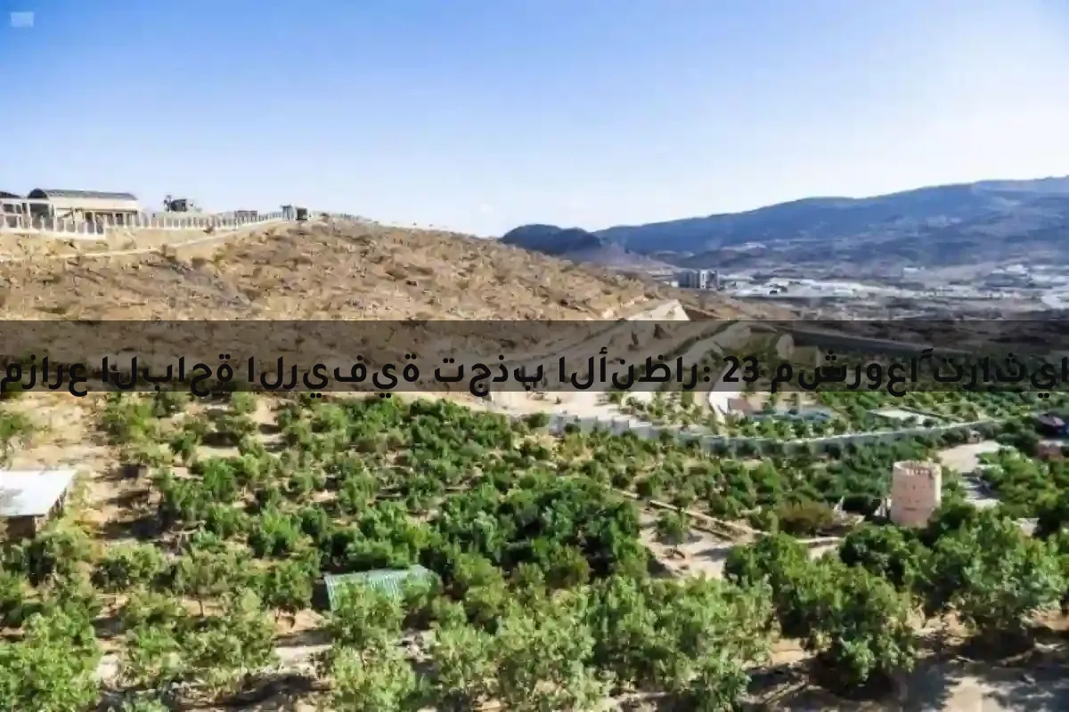 مزارع الباحة الريفية تجذب الأنظار: 23 مشروعاً تراثياً ينعش الاستثمار ويوفر وظائف للشباب