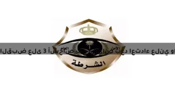 القبض على 3 أشخاص في الرياض بعد اعتداء علني والشرطة تتحرك فورًا