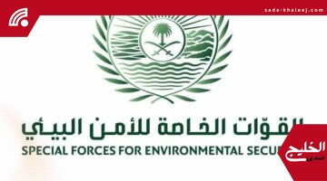 ضبط مواطن مخالف لنظام البيئة يشعل النار في أراضي الغطاء النباتي بعسير