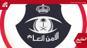الرياض: القبض على أربعة مقيمين بعد مشاجرة جماعية عنيفة في مكان عام