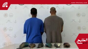 ينبع: ضبط مخالفين للائحة الأمن والسلامة في الأنشطة البحرية خلال حملة رقابية