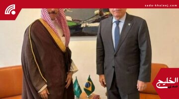 وزير الخارجية يبحث العلاقات الثنائية مع نظيره البرازيلي لتعزيز التعاون المشترك