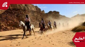 بطولات الخيل في العُلا تجذب أنظار العالم وتؤكد مكانتها العالمية المتقدمة