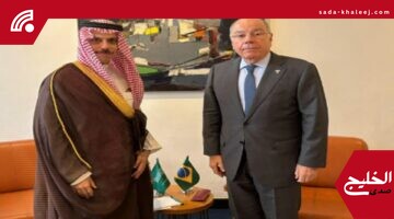 وزير الخارجية يبحث مع نظيره البرازيلي تعزيز التعاون بين مصر والبرازيل