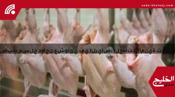 ضبط مسلخ دواجن عشوائي في الرياض: الجهات الأمنية تداهم الموقع وتوقف المتسببين