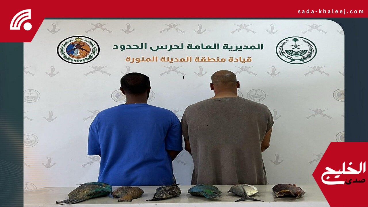 ضبط مخالفين للائحة الأمن والسلامة البحرية خلال مزاولتهم الأنشطة البحرية بالمملكة