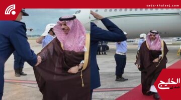 وزير الخارجية يصل البرازيل للمشاركة في قمة بريكس 2024 – تفاصيل وفيديو