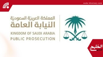النيابة العامة: النظام المعلوماتي يرفع حماية الأفراد من الجرائم الإلكترونية بالفضاء الرقمي
