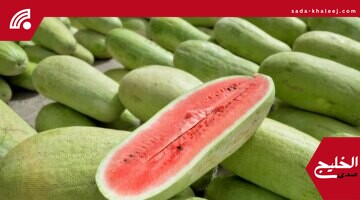 البطيخ يتصدر الأسواق المحلية وسط إقبال واسع خلال موجة حر الصيف