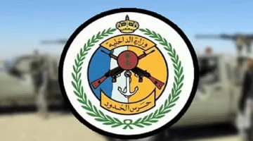 ضبط 140 كيلوجرامًا من القات: حرس الحدود بجازان يوقف 3 مخالفين