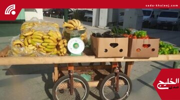 إزالة 3.4 أطنان خضروات بالعزيزية: أمانة جدة تواصل حملاتها ضد البيع العشوائي