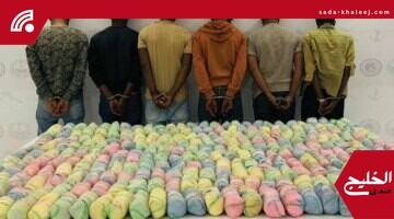 ضبط 6 مهربين بحوزتهم 100 كجم من القات المخدر في عسير اليوم