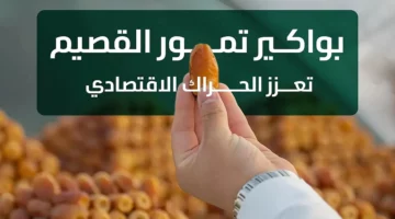 البيئة: جني بواكير التمور في القصيم يعزز الاقتصاد السعودي بإنتاج قياسي