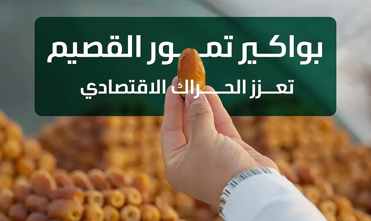 البيئة: جني بواكير التمور في القصيم يعزز الاقتصاد السعودي بإنتاج قياسي