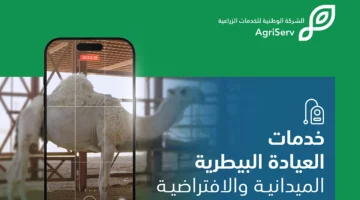 الشركة الوطنية للخدمات الزراعية تطلق عيادة بيطرية ميدانية وافتراضية عبر تطبيق ذكي