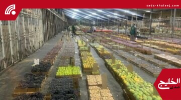 بيئة الطائف تكثف الرقابة على سوق الخضار استعدادًا لموسم الفواكه الجديد
