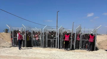 برنامج مؤسسة غزة للإغاثة: كيف تستغله إسرائيل في قتل الفلسطينيين رغم افتقاده للمعايير الإنسانية؟