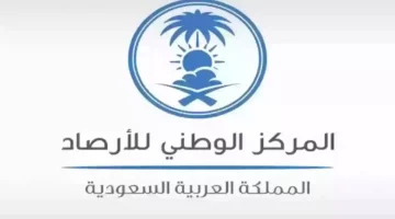 الأرصاد السعودية تحذر: عاصفة ترابية تضرب عدة مناطق وتحذيرات من انعدام الرؤية